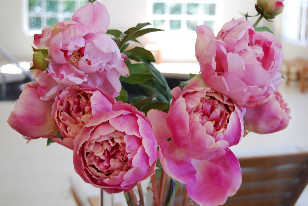 Milton Park Country House Hotel & Spa Bowral Esterno foto