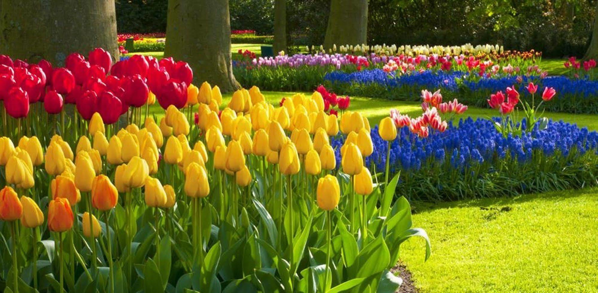 Milton Park Country House Hotel & Spa Bowral Esterno foto